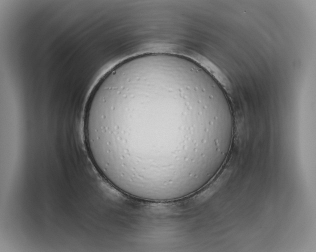 X0000111880904200908061311