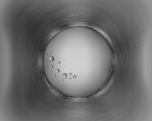 X0000111880905200908061311