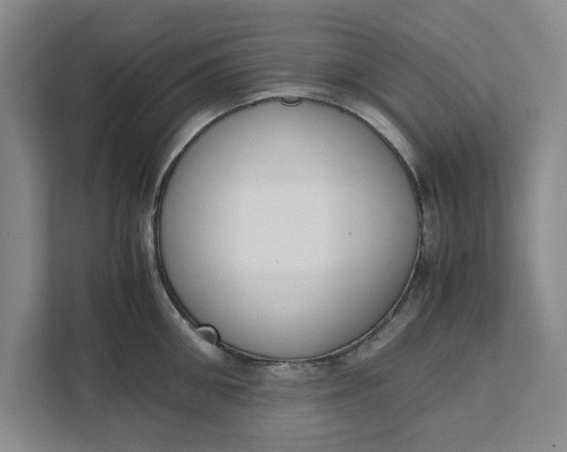 X0000111880906200908061311