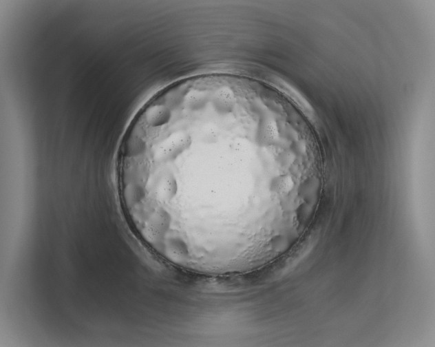 X0000111880907200908061311