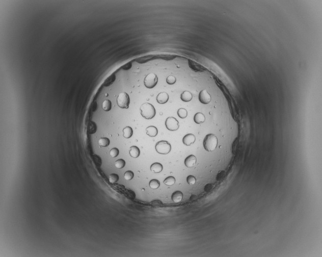 X0000111880908200908061311