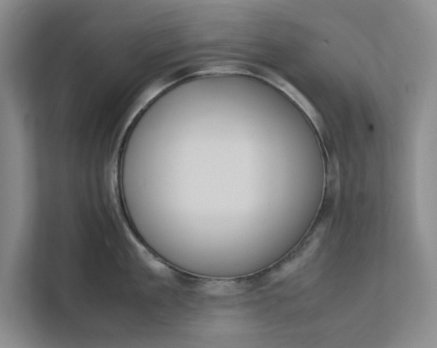 X0000111880909200908061311