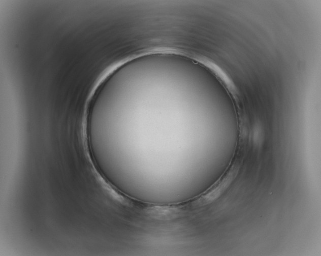 X0000111880910200908061311