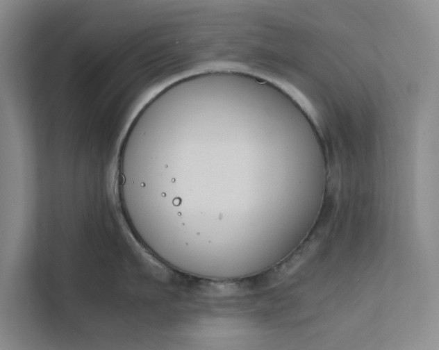 X0000111880911200908061311