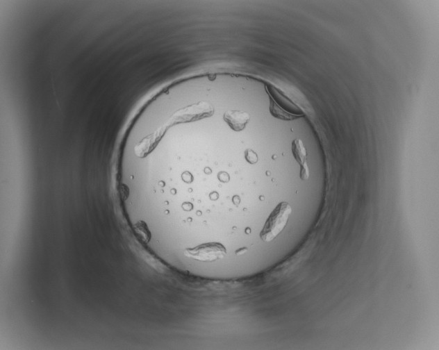 X0000111880912200908061311