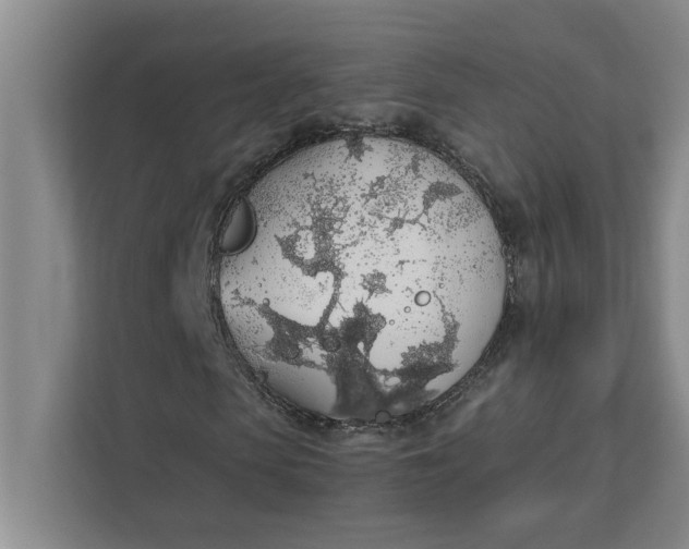 X0000111880913200908061311