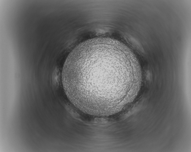 X0000111880914200908061311