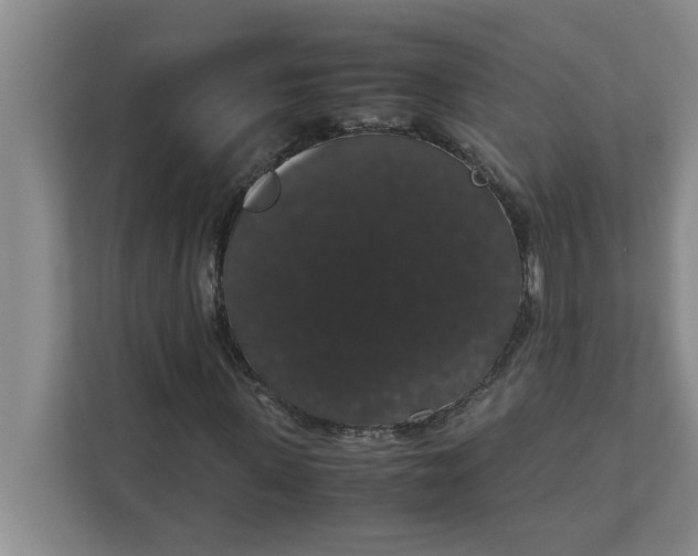 X0000111880915200908061311