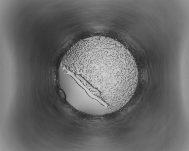 X0000111880916200908061311