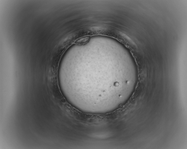 X0000111880917200908061311