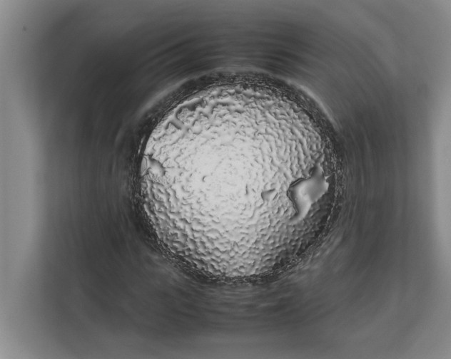 X0000111880919200908061311