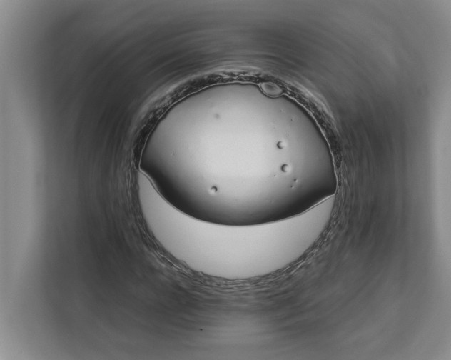 X0000111880920200908061311