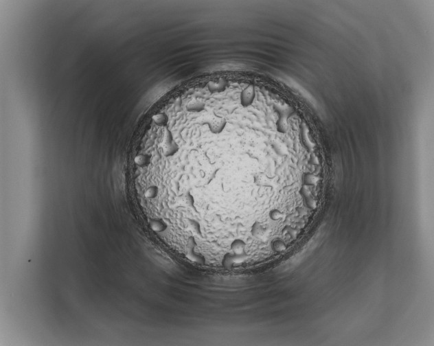 X0000111880921200908061311