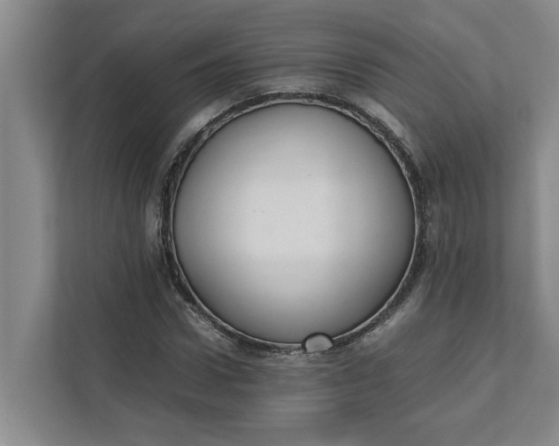 X0000111880922200908061311