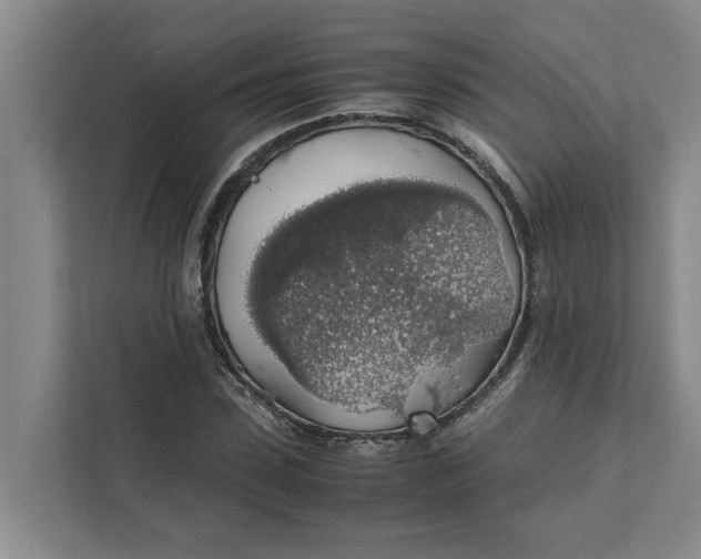 X0000111880923200908061311