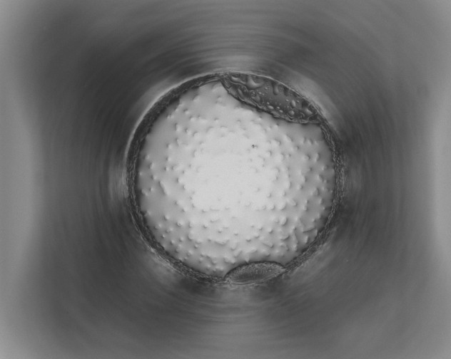 X0000111880924200908061311