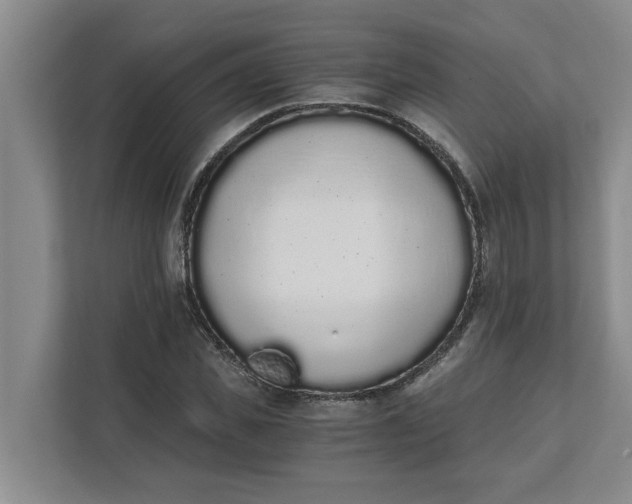 X0000111880925200908061311