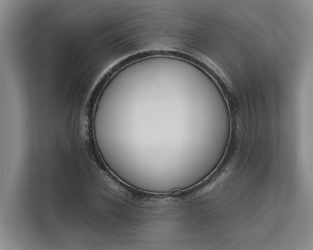 X0000111880926200908061311