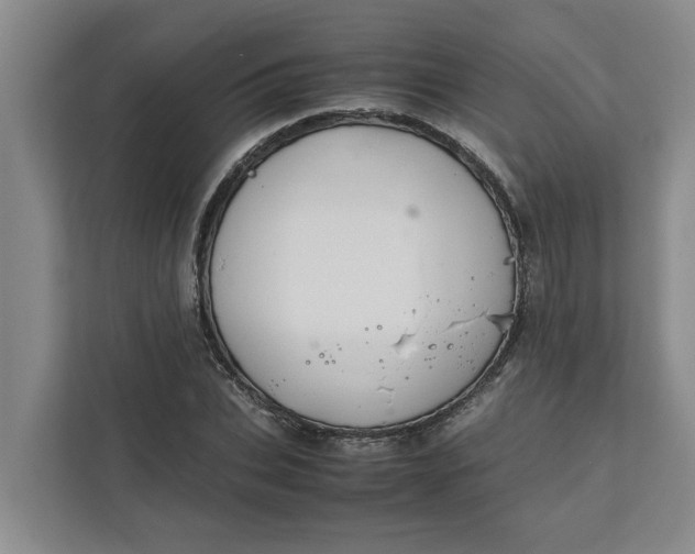 X0000111880927200908061311