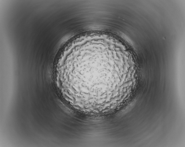 X0000111880930200908061311