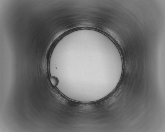 X0000111880931200908061311