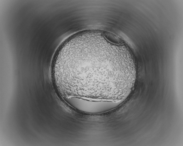 X0000111880932200908061311