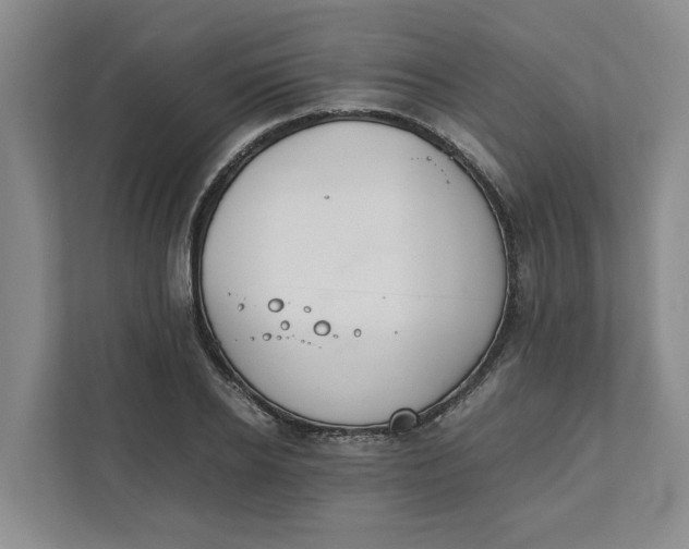 X0000111880934200908061311