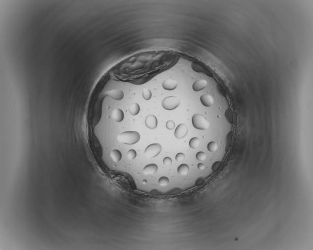 X0000111880936200908061311