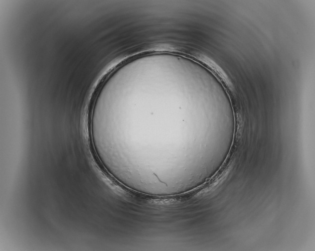 X0000111880939200908061311