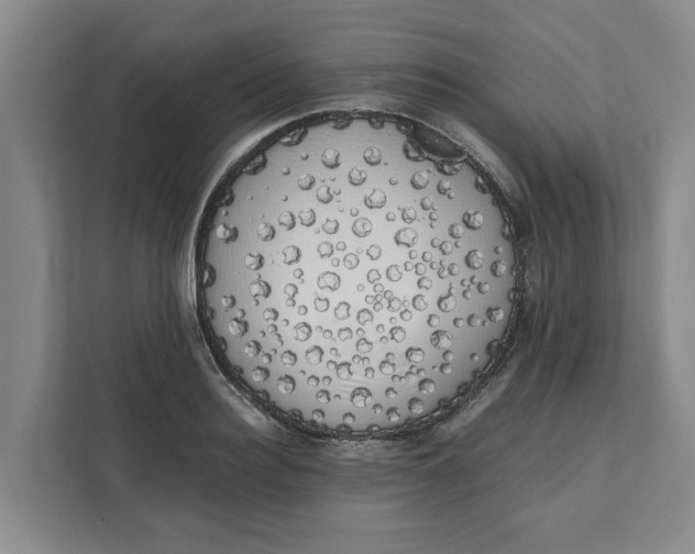 X0000111880940200908061311