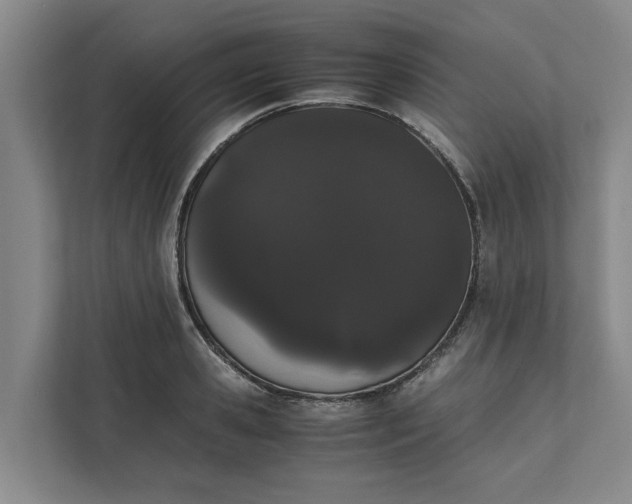 X0000111880941200908061311