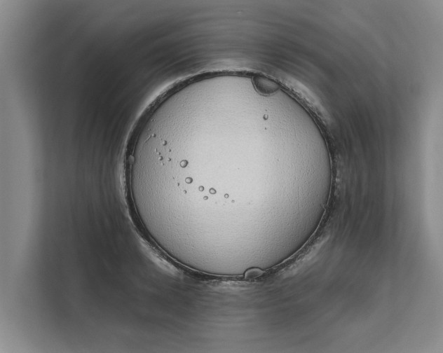 X0000111880942200908061311