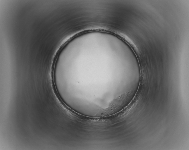 X0000111880943200908061311