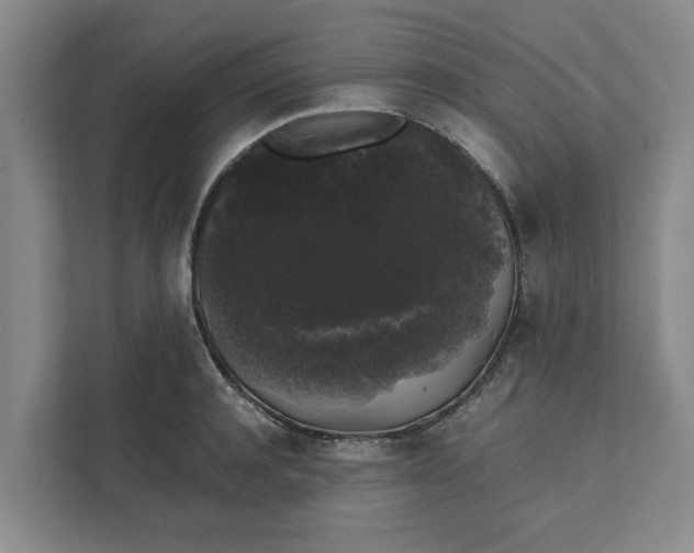 X0000111880944200908061311