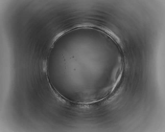 X0000111880945200908061311