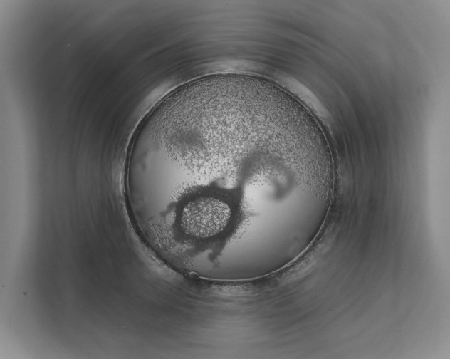 X0000111880946200908061311