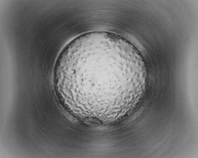 X0000111880948200908061311