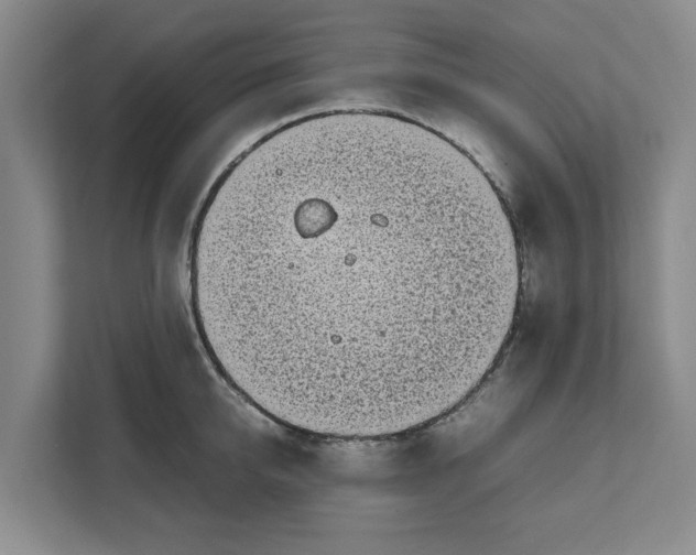 X0000111880950200908061311