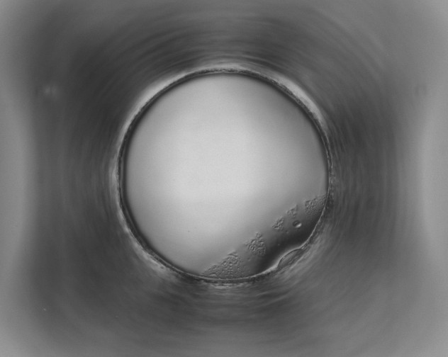 X0000111880951200908061311