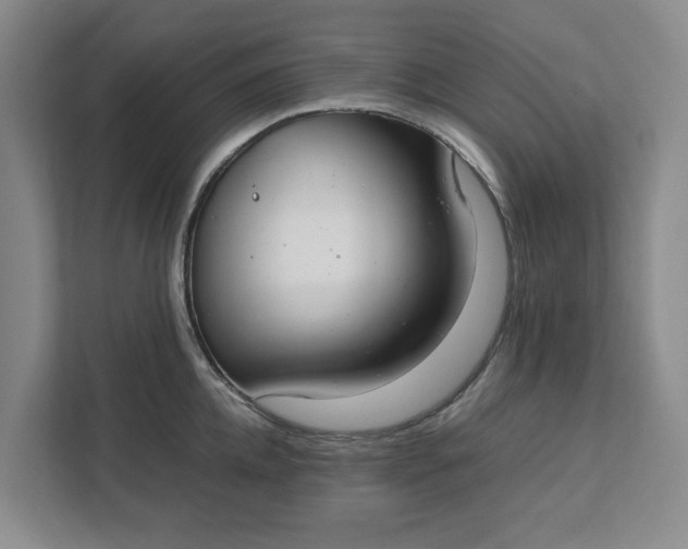 X0000111880952200908061311