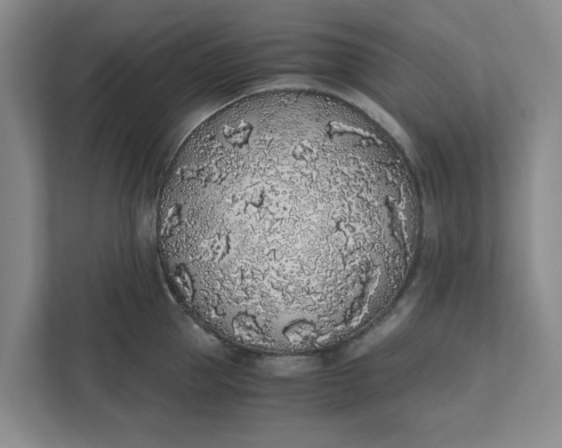 X0000111880953200908061311