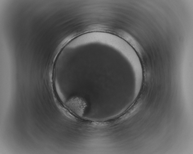 X0000111880954200908061311