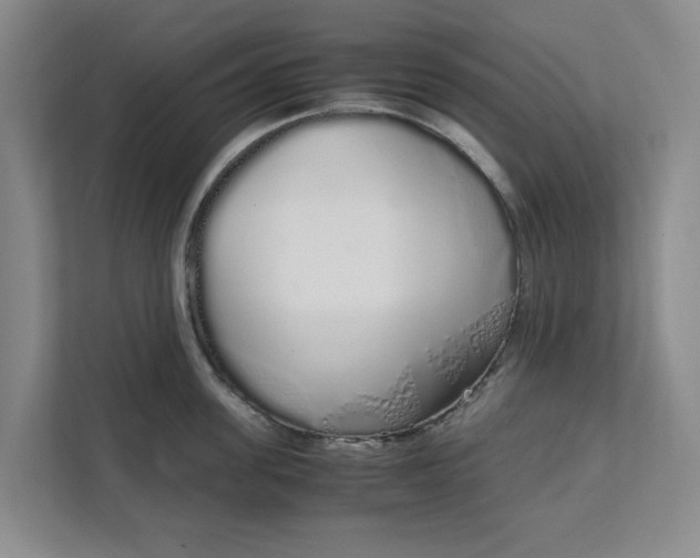 X0000111880955200908061311