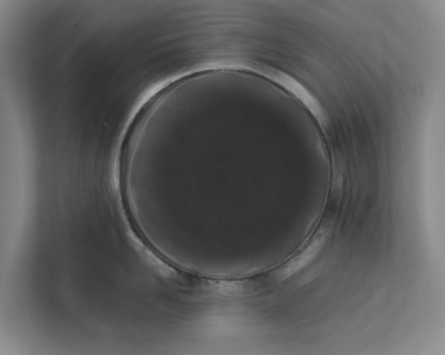 X0000111880958200908061311