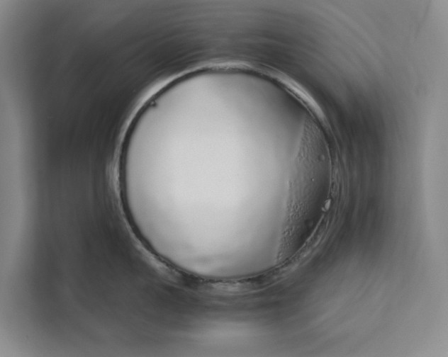 X0000111880959200908061311