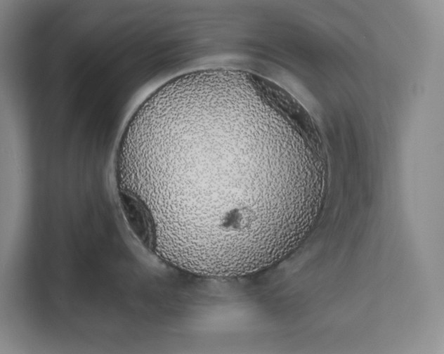 X0000111880960200908061311