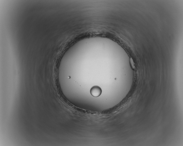 X0000111880961200908061311