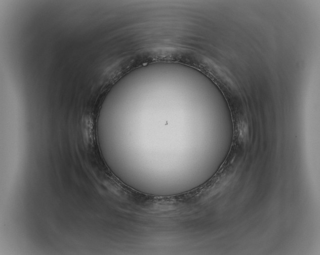 X0000111880964200908061311