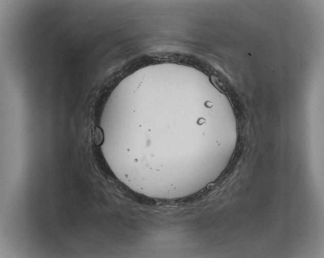 X0000111880965200908061311