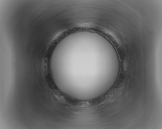 X0000111880968200908061310